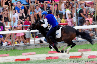 Il cavaliere Fabio Picchioni del Sestiere Porta Romana nel rettilinio del prato durante la 2^ tornata.