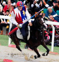 Il cavaliere Fabio Picchioni del Sestiere Porta Romana si lancia per il rettilinio finale della 3^ tornata.