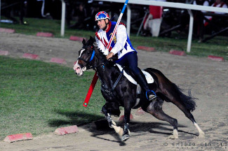 Il cavaliere Fabio Picchioni del Sestiere Porta Romana in sella a Genoria alla curva del Cassero.