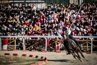 Il cavaliere Fabio Picchioni del Sestiere Porta Romana in sella a Genoria alla curva del Cassero.