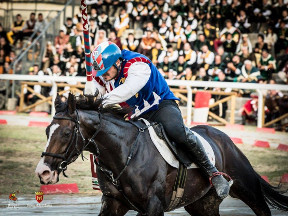 Il cavaliere Fabio Picchioni del Sestiere Porta Romana in sella a Genoria sul rettilinio finale.