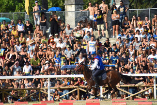 Il cavaliere Fabio Picchioni del Sestiere Porta Romana in sella a Natali's Jam nella curva del Carmine.