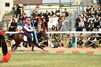 Il cavaliere Fabio Picchioni del Sestiere Porta Romana in sella a Natali's Jam nella curva del Cassero.