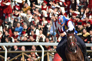 Il cavaliere Fabio Picchioni del Sestiere Porta Romana in sella a Natali's Jam si lancia per il rettilinio finale.