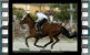Vedi le foto della Giostra della Quintana di Agosto 2007.