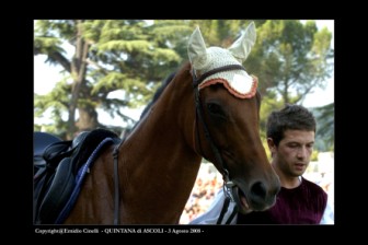 La cavalcatura viene accompagnata fuori dopo il riscaldamento.