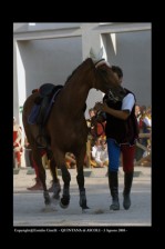 La cavalcatura viene accompagnata fuori.