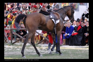 La cavalcatura esce dal campo.