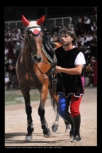 Roberto Capriotti prende in consegna il cavallo.