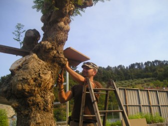 Il RomanaBeerFestival del 2007.