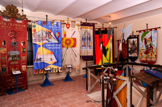 La Sala dei Palii.