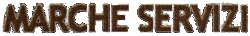 Logo Marche Servizi