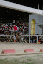 Il&nbsp;cavaliere&nbsp;Lorenzo&nbsp;Melosso&nbsp;del&nbsp;Sestiere&nbsp;Porta&nbsp;Romana&nbsp;in&nbsp;sella&nbsp;a&nbsp;Tago&nbsp;Island&nbsp;alla&nbsp;curva&nbsp;del&nbsp;Cassero&nbsp;durante&nbsp;la&nbsp;1^&nbsp;tornata.