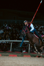 Il&nbsp;cavaliere&nbsp;Lorenzo&nbsp;Melosso&nbsp;del&nbsp;Sestiere&nbsp;Porta&nbsp;Romana&nbsp;in&nbsp;sella&nbsp;a&nbsp;Tago&nbsp;Island&nbsp;alla&nbsp;curva&nbsp;del&nbsp;Cassero&nbsp;durante&nbsp;la&nbsp;1^&nbsp;tornata.