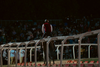 Il&nbsp;cavaliere&nbsp;Lorenzo&nbsp;Melosso&nbsp;del&nbsp;Sestiere&nbsp;Porta&nbsp;Romana&nbsp;in&nbsp;sella&nbsp;a&nbsp;Tago&nbsp;Island&nbsp;in&nbsp;pista&nbsp;per&nbsp;la&nbsp;2^&nbsp;tornata.