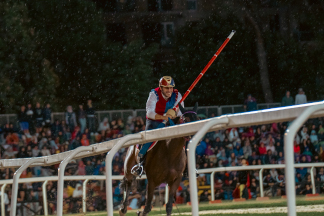 Il&nbsp;cavaliere&nbsp;Lorenzo&nbsp;Melosso&nbsp;del&nbsp;Sestiere&nbsp;Porta&nbsp;Romana&nbsp;in&nbsp;sella&nbsp;a&nbsp;Tago&nbsp;Island&nbsp;appena&nbsp;partito&nbsp;per&nbsp;la&nbsp;2^&nbsp;tornata.