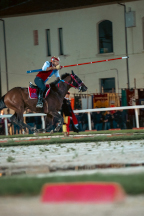 Il&nbsp;cavaliere&nbsp;Lorenzo&nbsp;Melosso&nbsp;del&nbsp;Sestiere&nbsp;Porta&nbsp;Romana&nbsp;in&nbsp;sella&nbsp;a&nbsp;Tago&nbsp;Island&nbsp;al&nbsp;3�&nbsp;bersaglio&nbsp;della&nbsp;3^&nbsp;tornata.