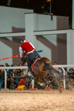 Il&nbsp;cavaliere&nbsp;Lorenzo&nbsp;Melosso&nbsp;del&nbsp;Sestiere&nbsp;Porta&nbsp;Romana&nbsp;in&nbsp;sella&nbsp;a&nbsp;Tago&nbsp;Island&nbsp;alla&nbsp;curva&nbsp;del&nbsp;Cassero&nbsp;durante&nbsp;la&nbsp;4^&nbsp;tornata&nbsp;di&nbsp;spareggio.