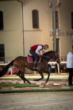Il&nbsp;cavaliere&nbsp;Lorenzo&nbsp;Melosso&nbsp;del&nbsp;Sestiere&nbsp;Porta&nbsp;Romana&nbsp;in&nbsp;sella&nbsp;a&nbsp;Tago&nbsp;Island&nbsp;durante&nbsp;il&nbsp;riscaldamento.