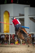 Il&nbsp;cavaliere&nbsp;Lorenzo&nbsp;Melosso&nbsp;del&nbsp;Sestiere&nbsp;Porta&nbsp;Romana&nbsp;in&nbsp;sella&nbsp;a&nbsp;Tago&nbsp;Island&nbsp;alla&nbsp;curva&nbsp;del&nbsp;Cassero&nbsp;durante&nbsp;la&nbsp;1^&nbsp;tornata.