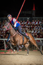 Il&nbsp;cavaliere&nbsp;Lorenzo&nbsp;Melosso&nbsp;del&nbsp;Sestiere&nbsp;Porta&nbsp;Romana&nbsp;in&nbsp;sella&nbsp;a&nbsp;Tago&nbsp;Island&nbsp;alla&nbsp;curva&nbsp;del&nbsp;Cassero&nbsp;durante&nbsp;la&nbsp;1^&nbsp;tornata.