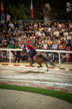 Il&nbsp;cavaliere&nbsp;Lorenzo&nbsp;Melosso&nbsp;del&nbsp;Sestiere&nbsp;Porta&nbsp;Romana&nbsp;in&nbsp;sella&nbsp;a&nbsp;Tago&nbsp;Island&nbsp;alla&nbsp;curva&nbsp;del&nbsp;Carmine&nbsp;durante&nbsp;la&nbsp;2^&nbsp;tornata.