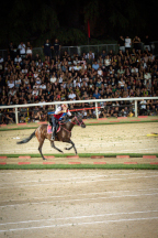 Il&nbsp;cavaliere&nbsp;Lorenzo&nbsp;Melosso&nbsp;del&nbsp;Sestiere&nbsp;Porta&nbsp;Romana&nbsp;in&nbsp;sella&nbsp;a&nbsp;Tago&nbsp;Island&nbsp;al&nbsp;1�&nbsp;bersaglio&nbsp;della&nbsp;2^&nbsp;tornata.