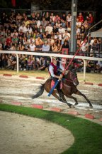 Il&nbsp;cavaliere&nbsp;Lorenzo&nbsp;Melosso&nbsp;del&nbsp;Sestiere&nbsp;Porta&nbsp;Romana&nbsp;in&nbsp;sella&nbsp;a&nbsp;Tago&nbsp;Island&nbsp;alla&nbsp;curva&nbsp;del&nbsp;Cassero&nbsp;durante&nbsp;la&nbsp;2^&nbsp;tornata.