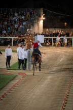 Il&nbsp;cavaliere&nbsp;Lorenzo&nbsp;Melosso&nbsp;del&nbsp;Sestiere&nbsp;Porta&nbsp;Romana&nbsp;in&nbsp;sella&nbsp;a&nbsp;Tago&nbsp;Island&nbsp;al&nbsp;2�&nbsp;bersaglio&nbsp;della&nbsp;2^&nbsp;tornata.