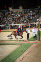 Il&nbsp;cavaliere&nbsp;Lorenzo&nbsp;Melosso&nbsp;del&nbsp;Sestiere&nbsp;Porta&nbsp;Romana&nbsp;in&nbsp;sella&nbsp;a&nbsp;Tago&nbsp;Island&nbsp;al&nbsp;3�&nbsp;bersaglio&nbsp;della&nbsp;2^&nbsp;tornata.