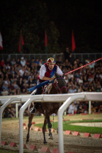 Il&nbsp;cavaliere&nbsp;Lorenzo&nbsp;Melosso&nbsp;del&nbsp;Sestiere&nbsp;Porta&nbsp;Romana&nbsp;in&nbsp;sella&nbsp;a&nbsp;Tago&nbsp;Island&nbsp;appena&nbsp;partito&nbsp;per&nbsp;la&nbsp;3^&nbsp;tornata.
