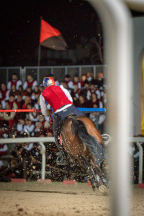 Il&nbsp;cavaliere&nbsp;Lorenzo&nbsp;Melosso&nbsp;del&nbsp;Sestiere&nbsp;Porta&nbsp;Romana&nbsp;in&nbsp;sella&nbsp;a&nbsp;Tago&nbsp;Island&nbsp;alla&nbsp;curva&nbsp;del&nbsp;Cassero&nbsp;durante&nbsp;la&nbsp;3^&nbsp;tornata.